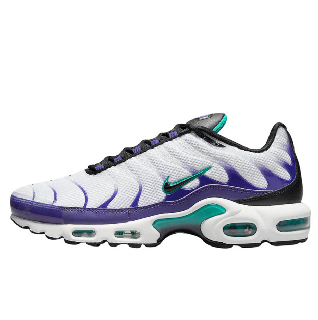 Nike Air Max Plus TN sneakers Nike TN Buy in Ukraine