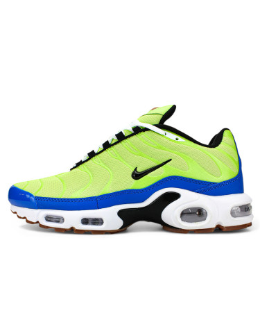 Nike Air Max Plus Frank Rudy Ghost Green DZ0480 300