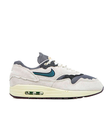 Air Max 1 Protection Pack