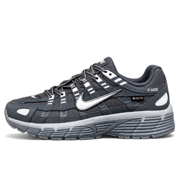 Nike P-6000 Gore-Tex Grey White Termo