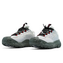 Nike ACG Moutain Fly 2 Low Gore Tex White Grey