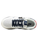 Nike SB Dunk Low x Louis Vuitton Grey Blue Red