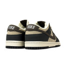 Nike SB Dunk Low Blue Beige Brown