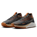 Nike React Pegasus Trail 4 Gore-Tex Anthracite Ale Brown FD5841-001