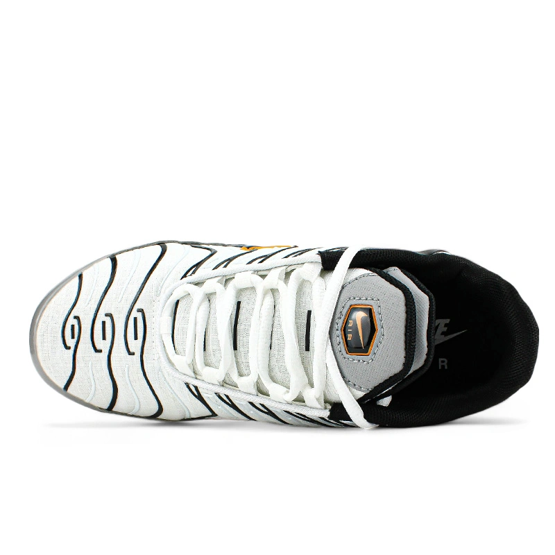 Nike Air Max Plus TN Double Swoosh Mean Grey White buy with