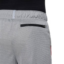 Shorts Nike NK POLY+ SHORT DO7093-091