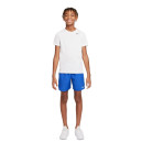 Nike NK CHALLENGER SHORT DM8550-480