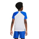 T-shirt Nike NK DF PERF TOP COLLECTN HBR DM8541-100