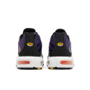Nike Air Max Plus Voltage Purple DX0755-500