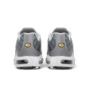 Nike Air Max Plus Flat Pewter White DV7665-002