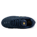 Nike Air Max Plus French Football Federation FB3350-400