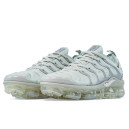 Nike Air VaporMax Plus Grey
