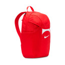 Рюкзак Nike ACDMY TEAM BKPK 2.3 DV0761-657