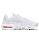 Nike Air Max Plus White DM2362-100