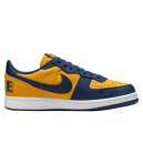 Nike Terminator Low Michigan FJ4206-700