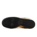 Nike SB Dunk Low x Stussy 40th Brown Grey Beige