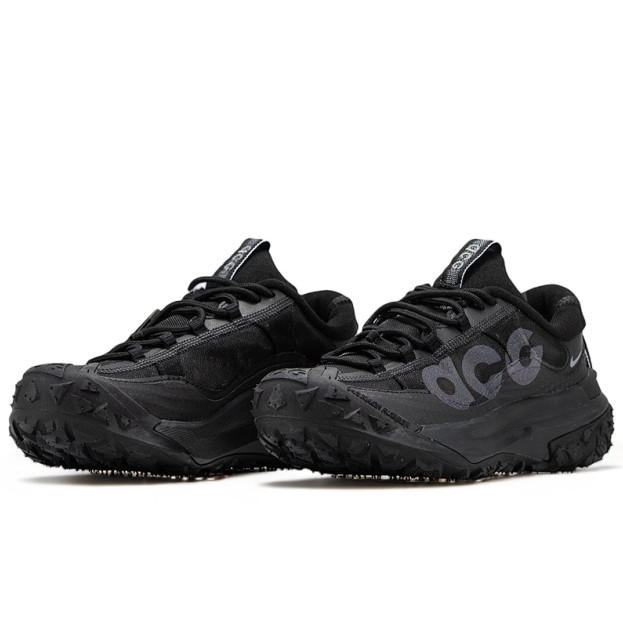 Nike ACG Mountain Fly 2 Gore-Tex Black Grey