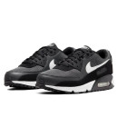 Nike Air Max 90 Iron Grey CN8490-002