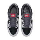 Nike Dunk SB Low Atlas 35MM Grey 504750-020