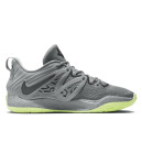 Nike KD 15 TB Wolf Grey DO9826-001