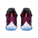 Nike LeBron 13 Written In the Stars 807219-500