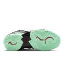 Nike LeBron 11 King's Pride 616175-700