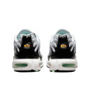 Nike Air Max Plus White Black Mint Green DH4776-100