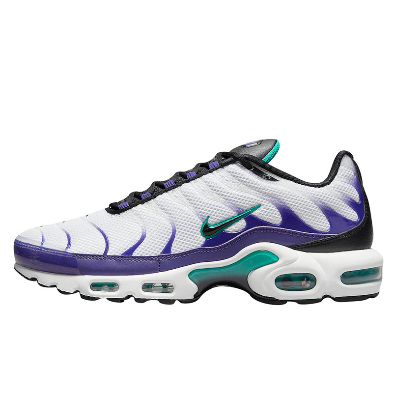 Nike Air Max Plus Grape DM0032 100