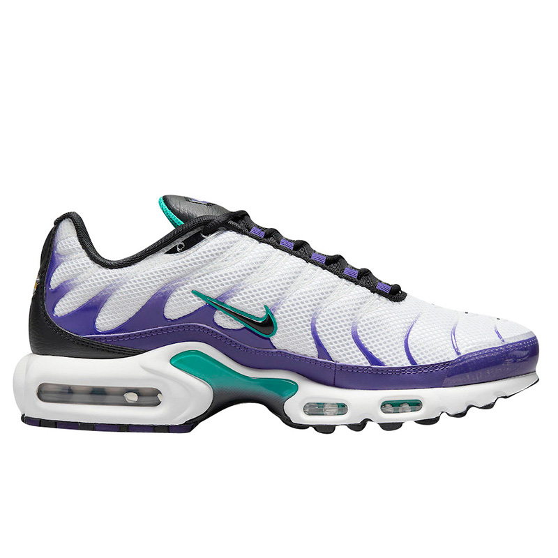 Nike Air Max Plus Grape DM0032 100