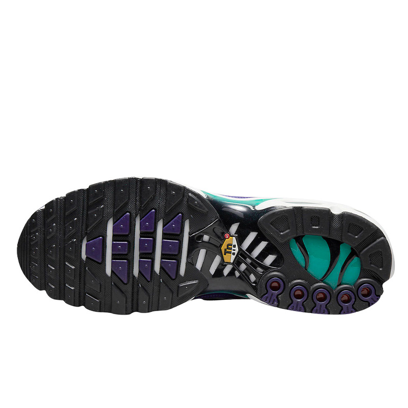 Nike air max plus grape top