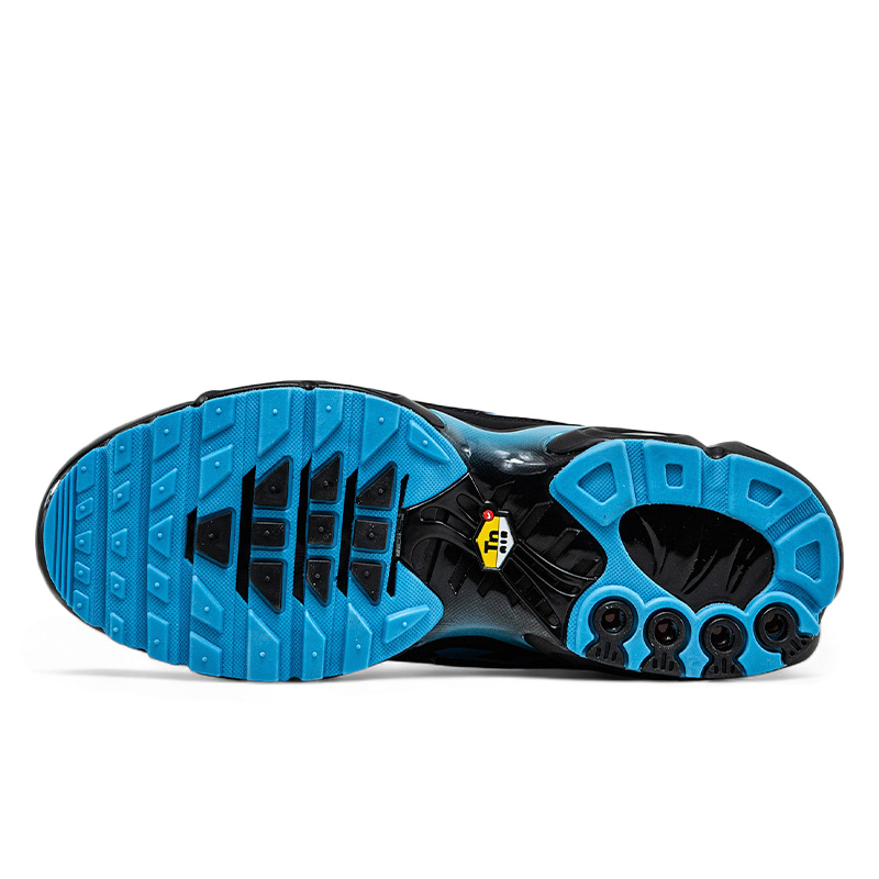 Nike Air Max TN Plus Black University Blue DM0032 005