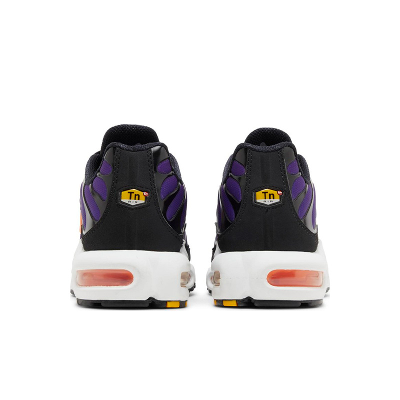 Nike Air Max Plus Voltage Purple DX0755 500