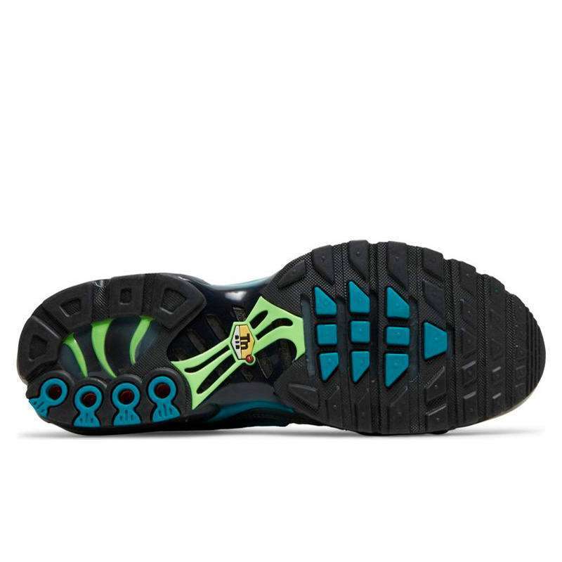 Nike Air Max Plus Champions League DJ6896 070