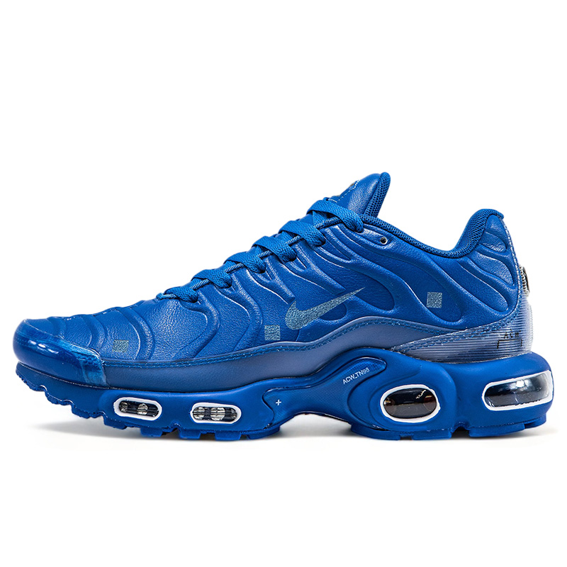 Air Max TN Plus Blue