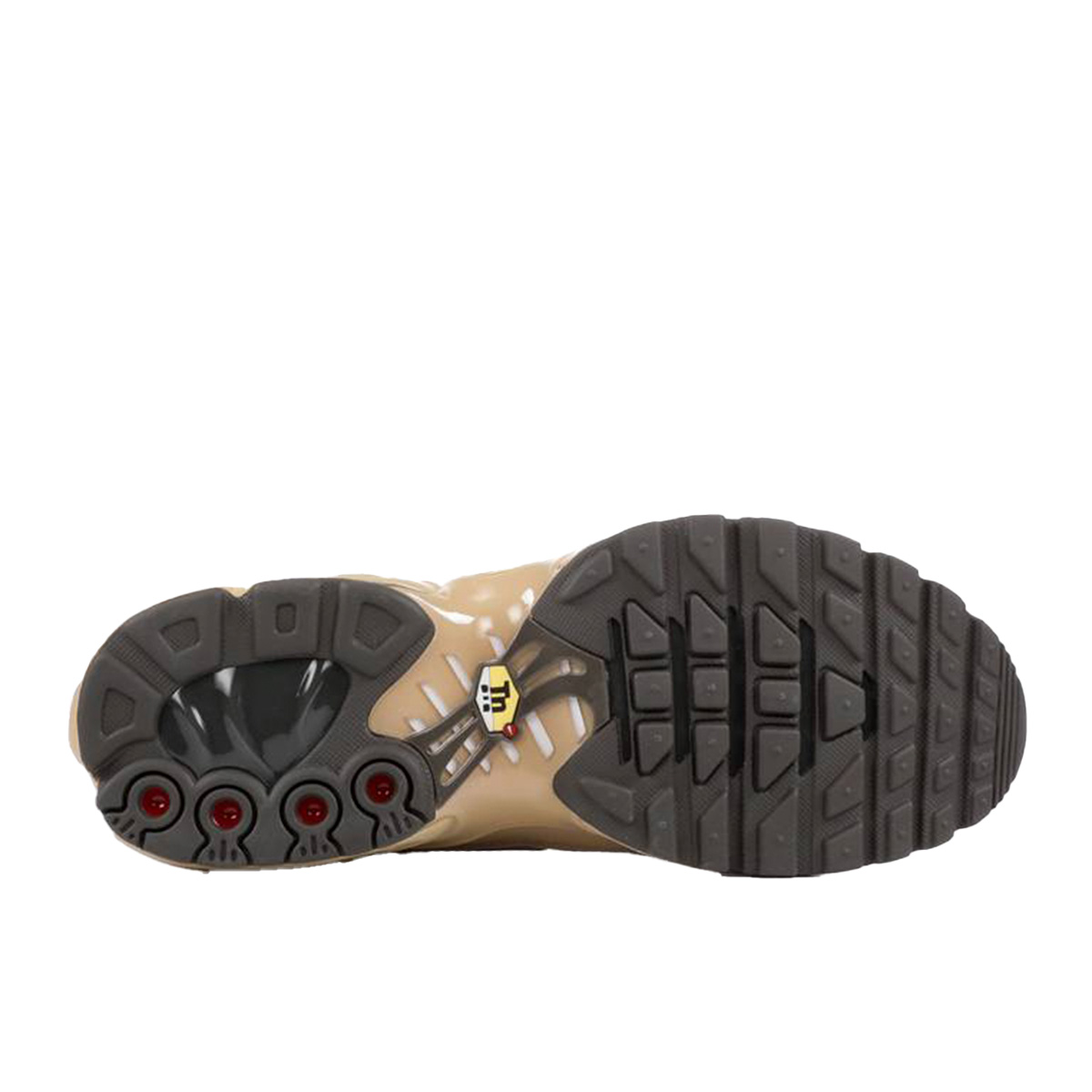 Air Max Plus Desert 655020 201